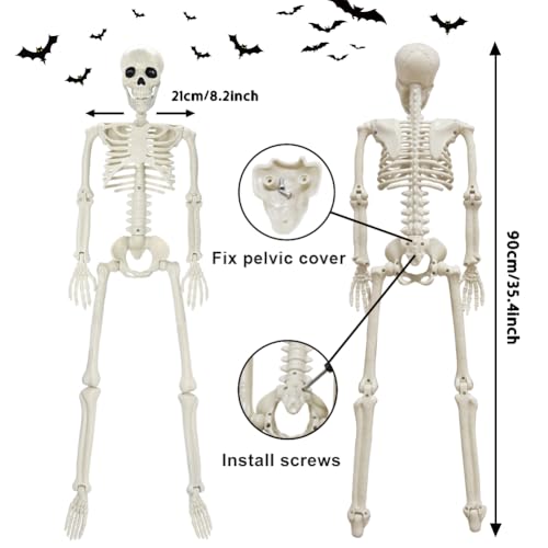 5.4ft/165cm Life Size Skeleton with Movable Joints Z391638