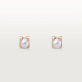 Cartier Earrings W300