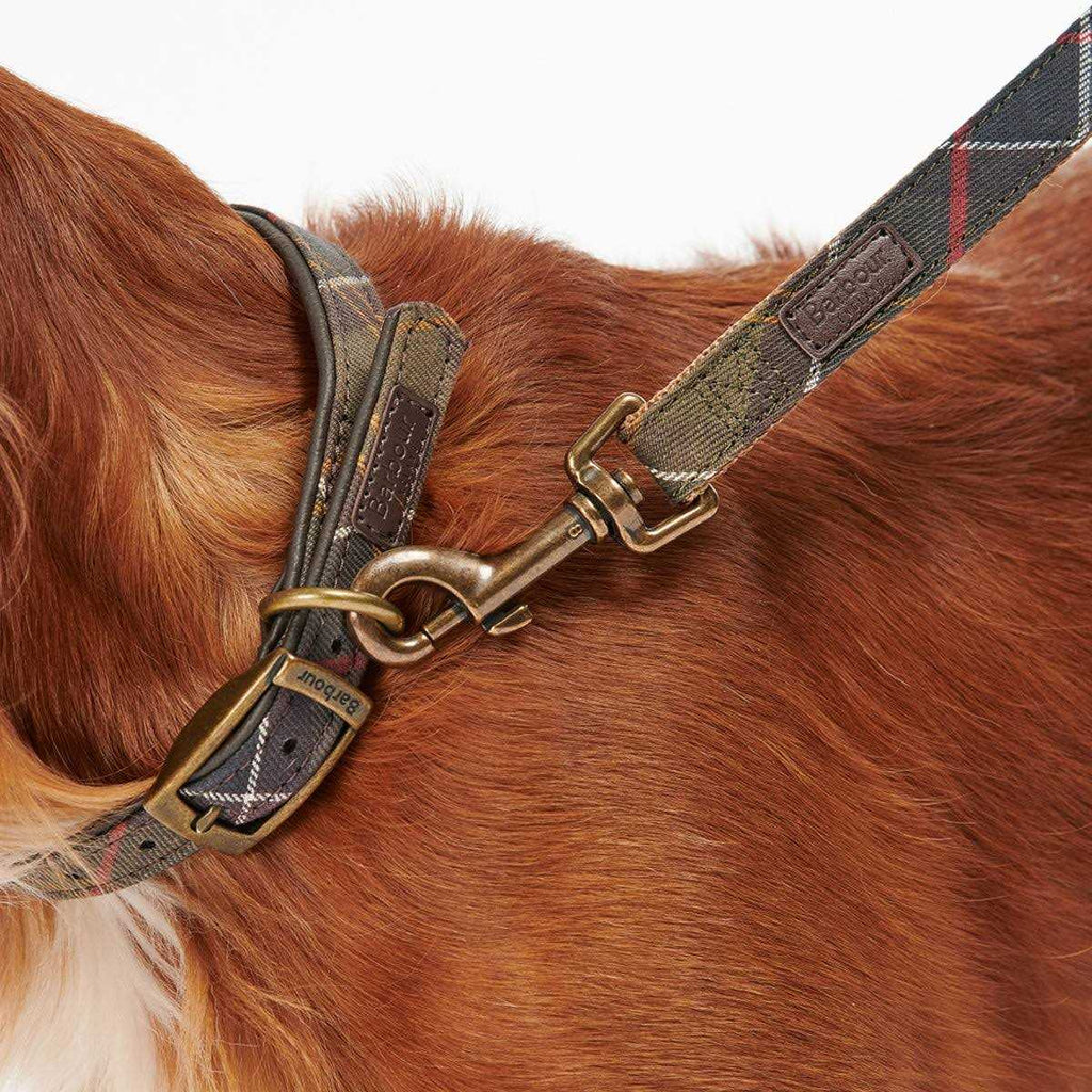 Tartan Webbing Collar L183009