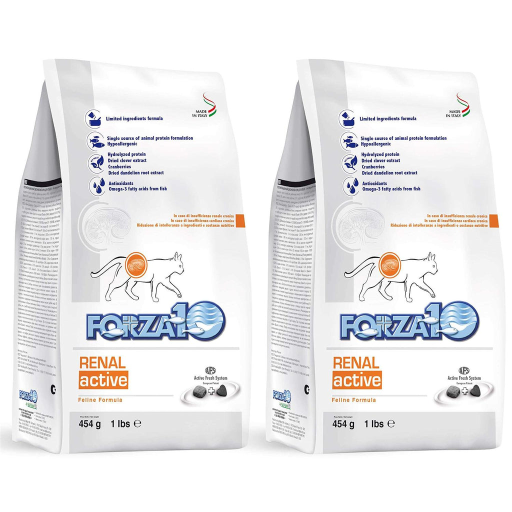 Kidney Support Diet Dry Cat Food X875303