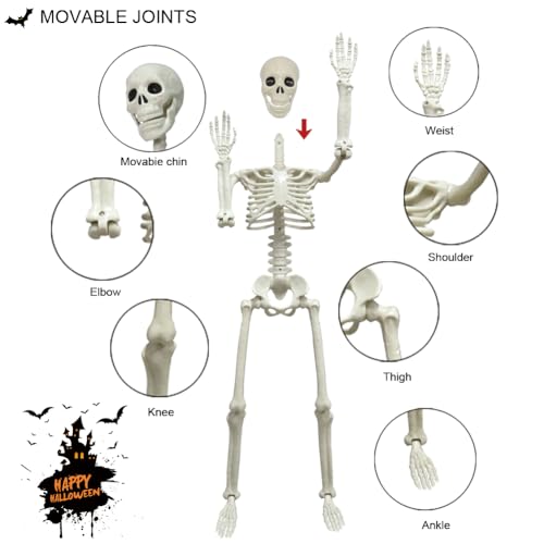 5.4ft/165cm Life Size Skeleton with Movable Joints Z391638