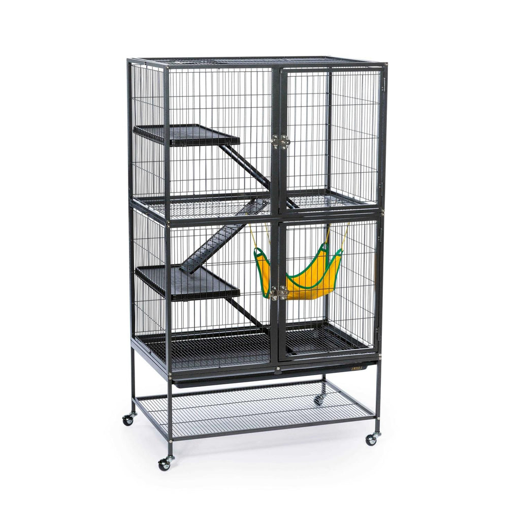 Feisty Ferret Home Z3436