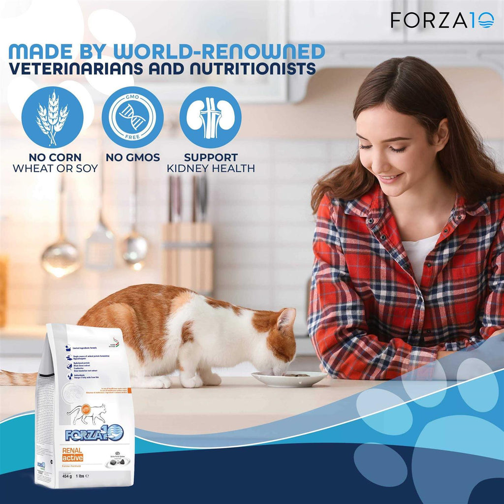 Kidney Support Diet Dry Cat Food X875303