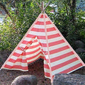 Pink Stripes Teepee Set with Travel Case P9891