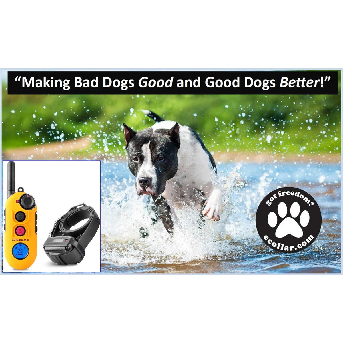 Remote Dog Training Collar with Vibration O344