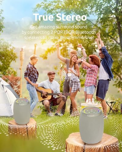 Portable Wireless Bluetooth Speaker IPX5 Waterproof V742923