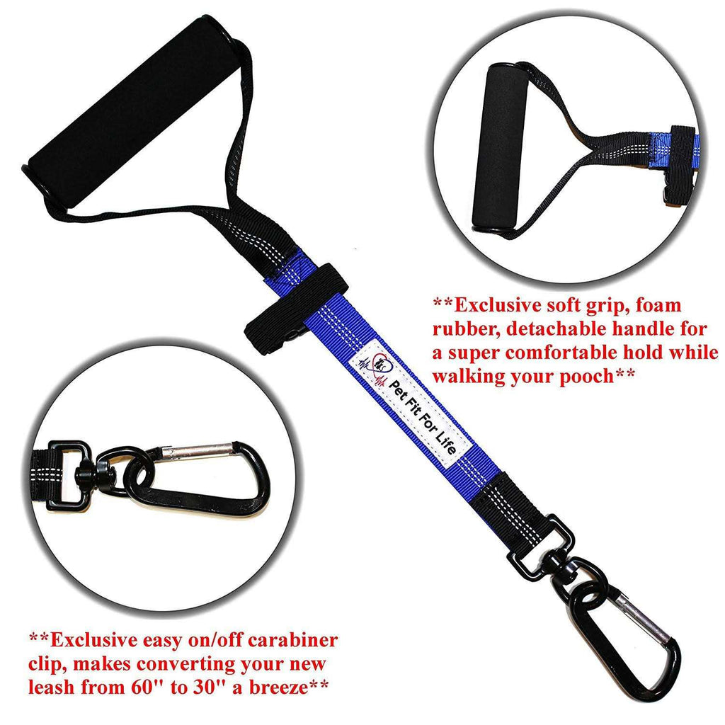 Two Dog Leash G59545