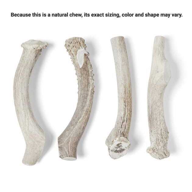 Deer Antler Dog Chew U173
