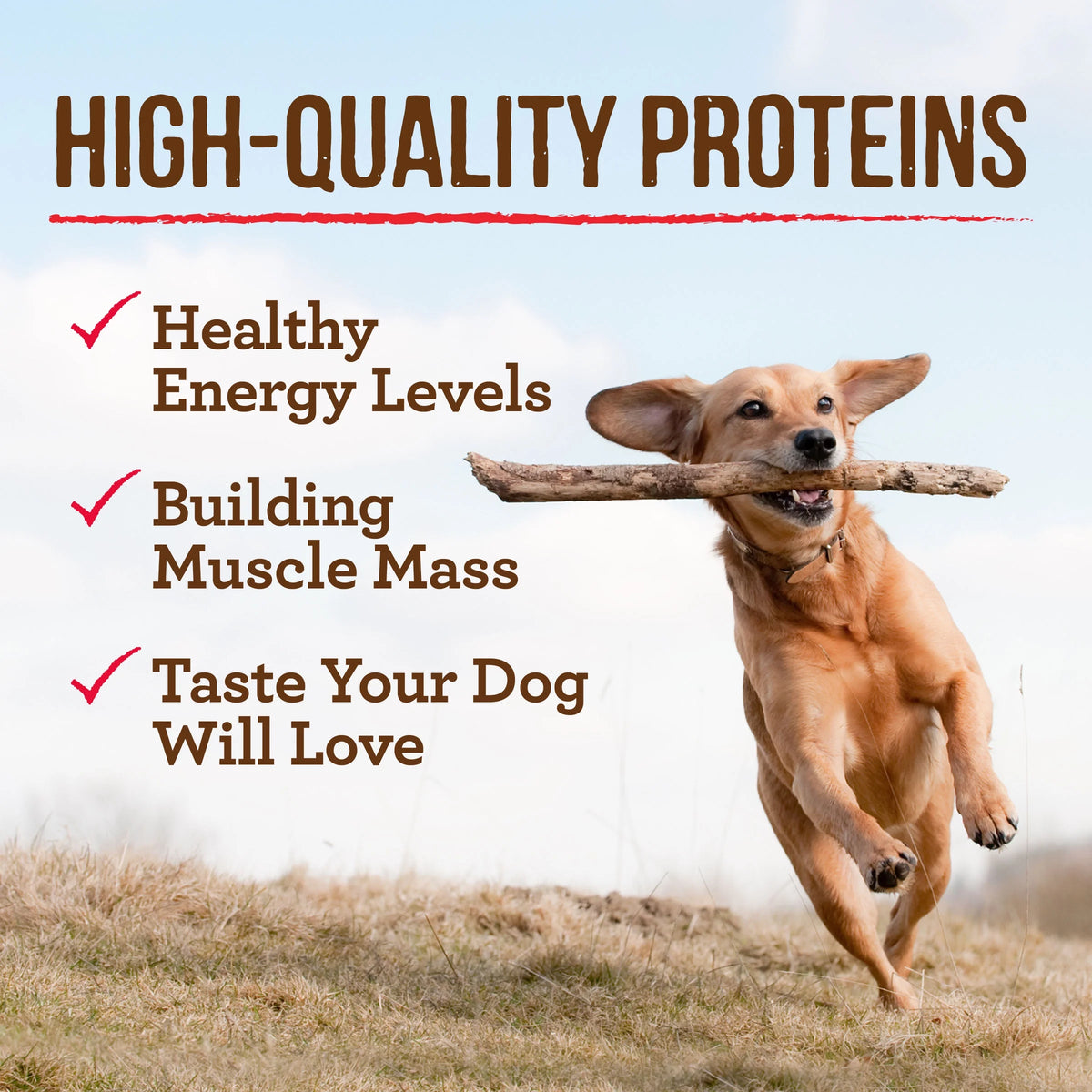 Grain Free Wet Dog Food 12.7 oz Cans K694