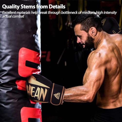 Boxing Training Gloves 10-16oz E240