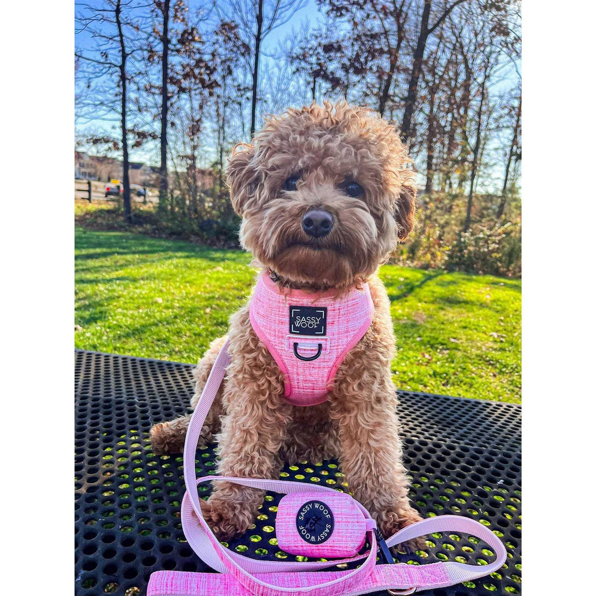 Reversible Dog Harness Z98724