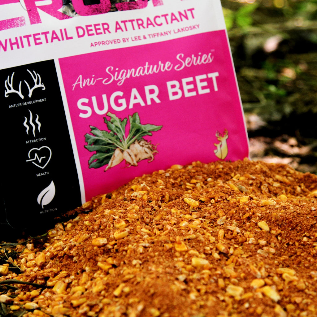 Sugar Beet Deer Attractant 5lb Bag, 4 Pack E3483