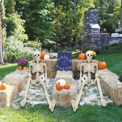 5.4ft/165cm Life Size Skeleton with Movable Joints Z391638