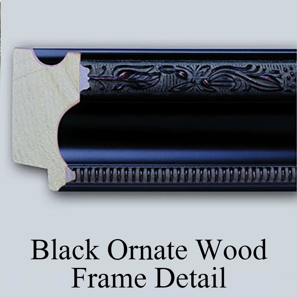 Black Ornate Wood Framed Art Print E7995
