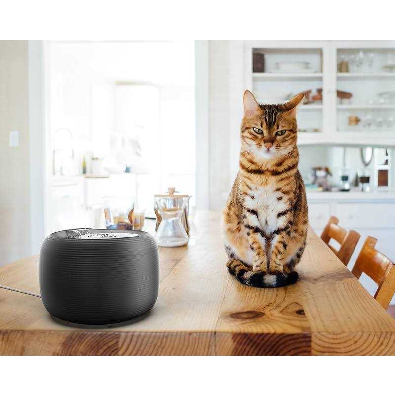 2.5 L Pet Water Fountain S2145