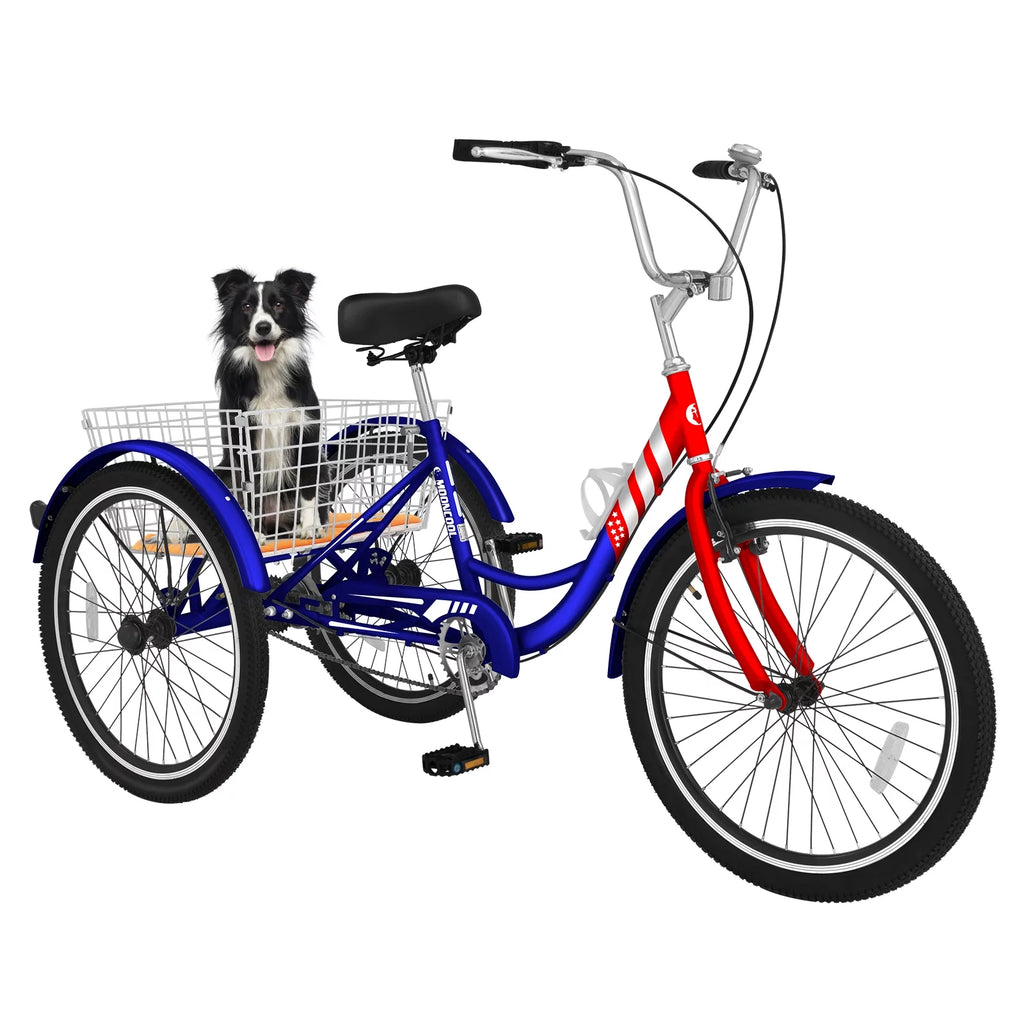 24 Single Speed Tricycle with Basket W712524