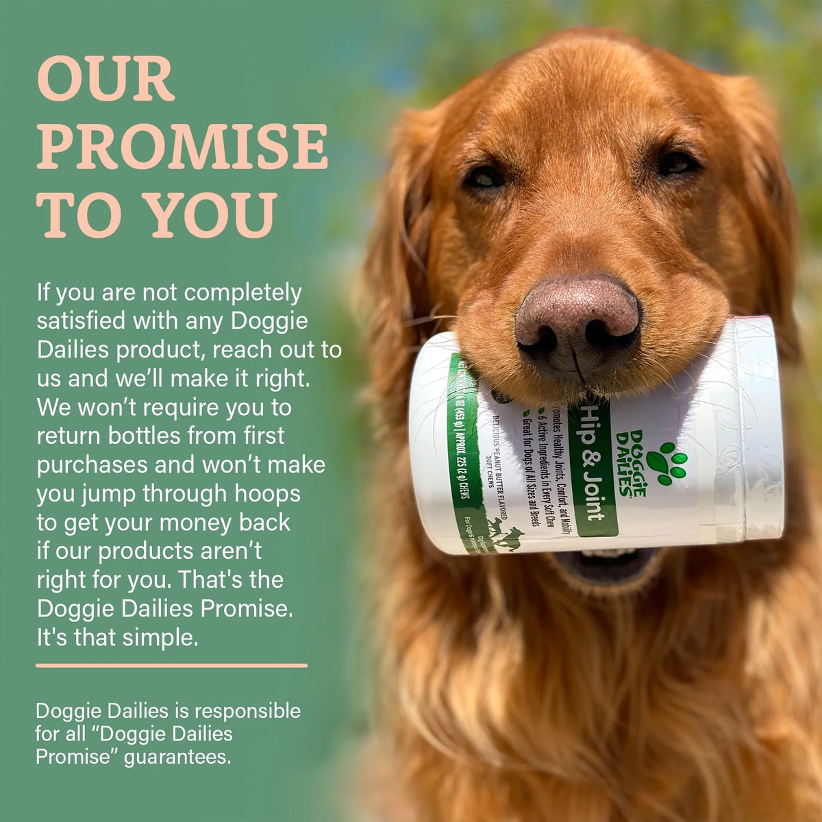 Glucosamine for Dogs 225 Chews Joint Supplement with Chondroitin MSM Hyaluronic Acid CoQ10 Chicken V798803