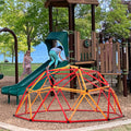 Dome Climber Kids Swing Set P14791