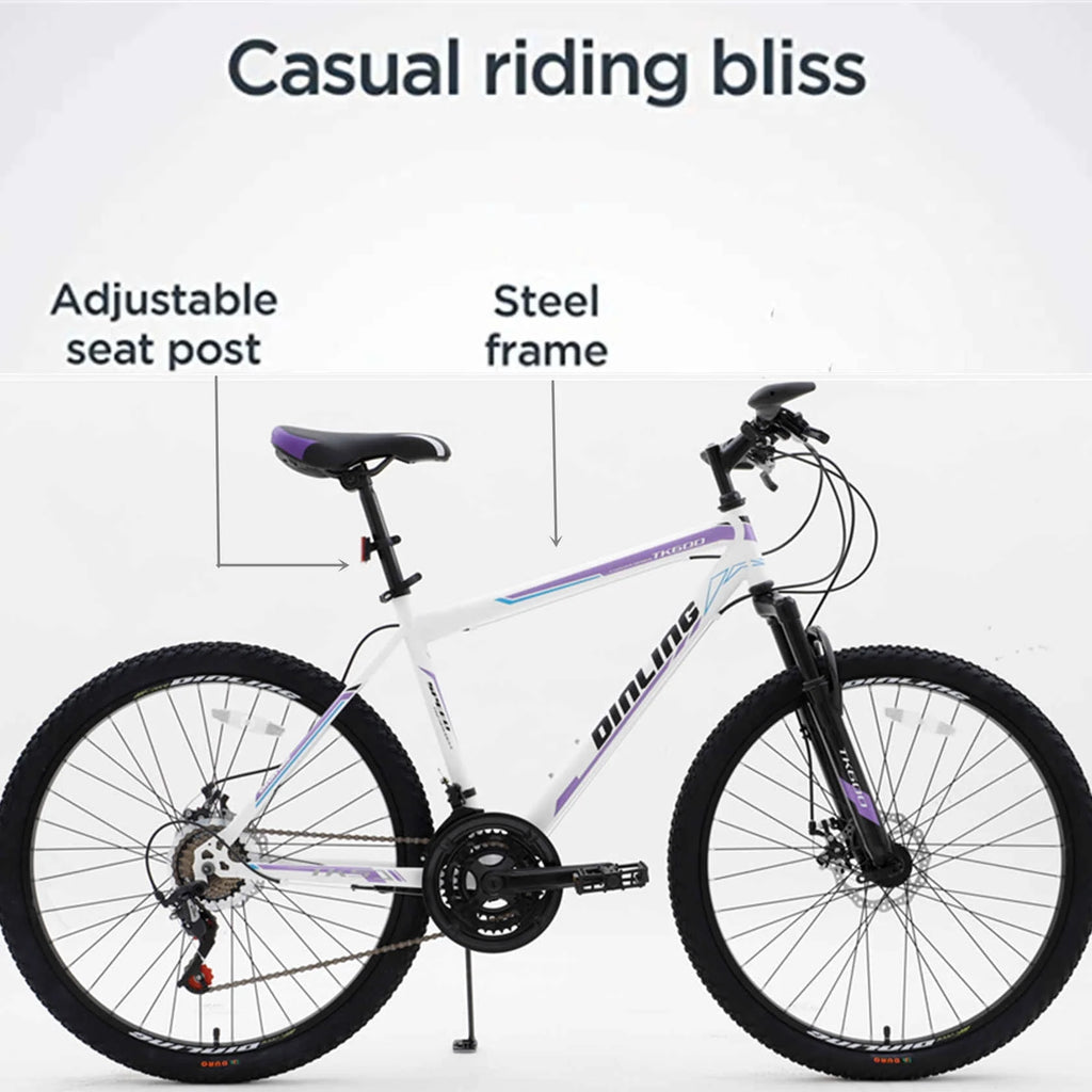 Purple 21-Speed 26 Inch Mountain Bike C358012