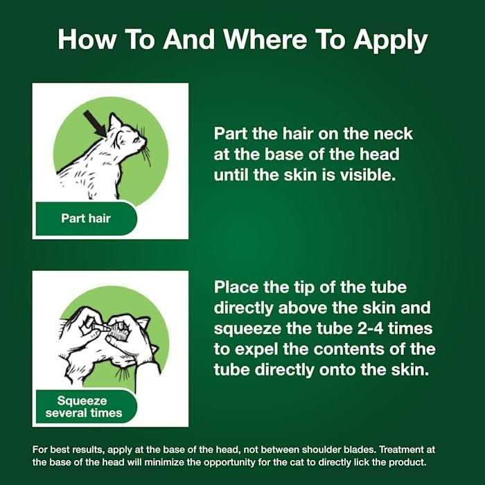 Cat Flea Prevention & Treatment K6462