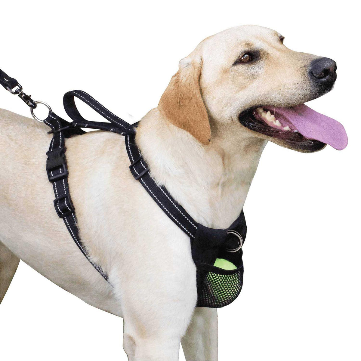 Harness Z563
