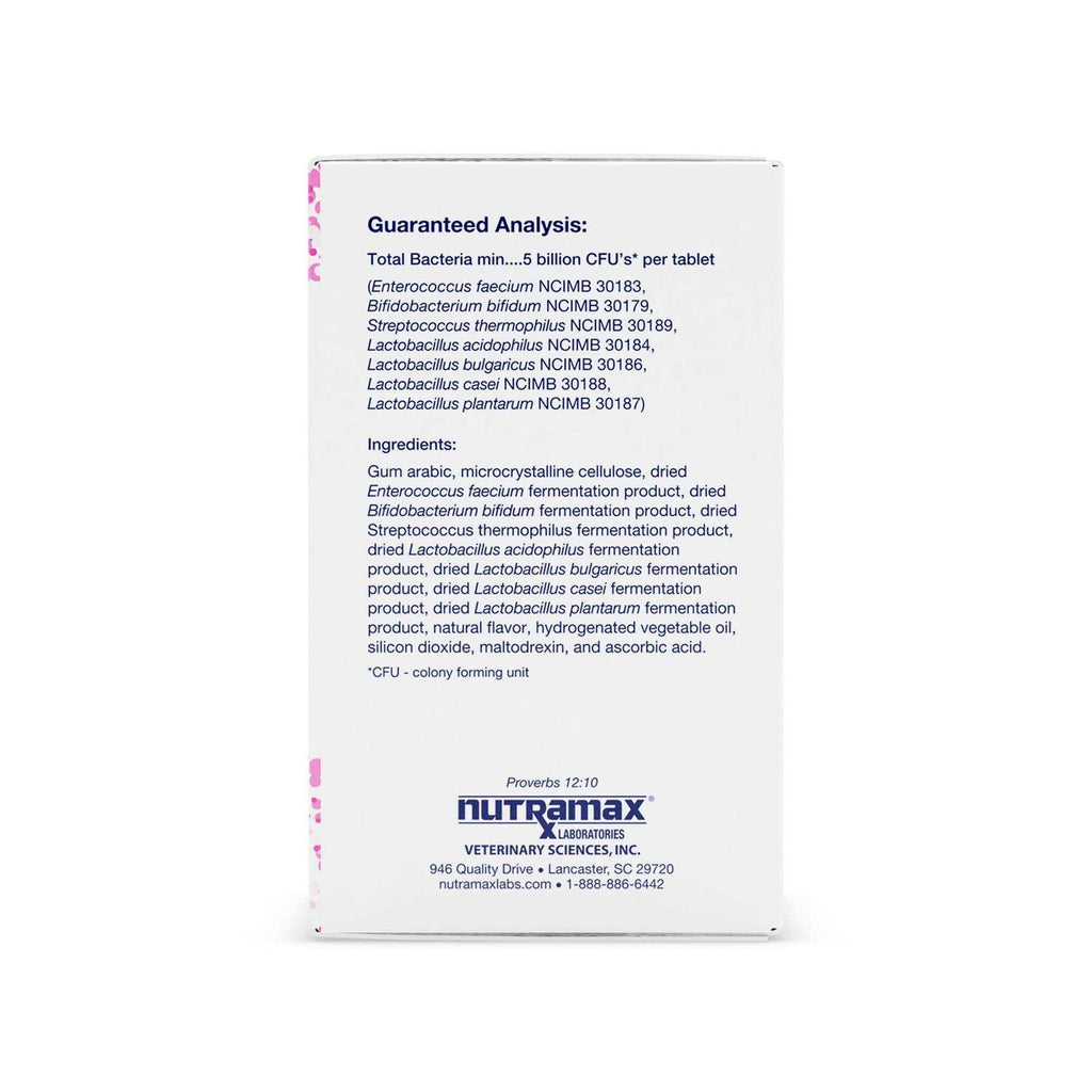 Multi-Strain Probiotics and Prebiotics for Dogs O46935