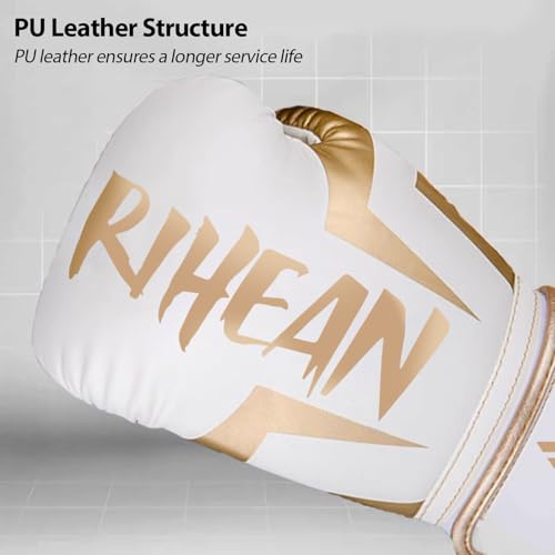 Boxing Training Gloves 10-16oz E240