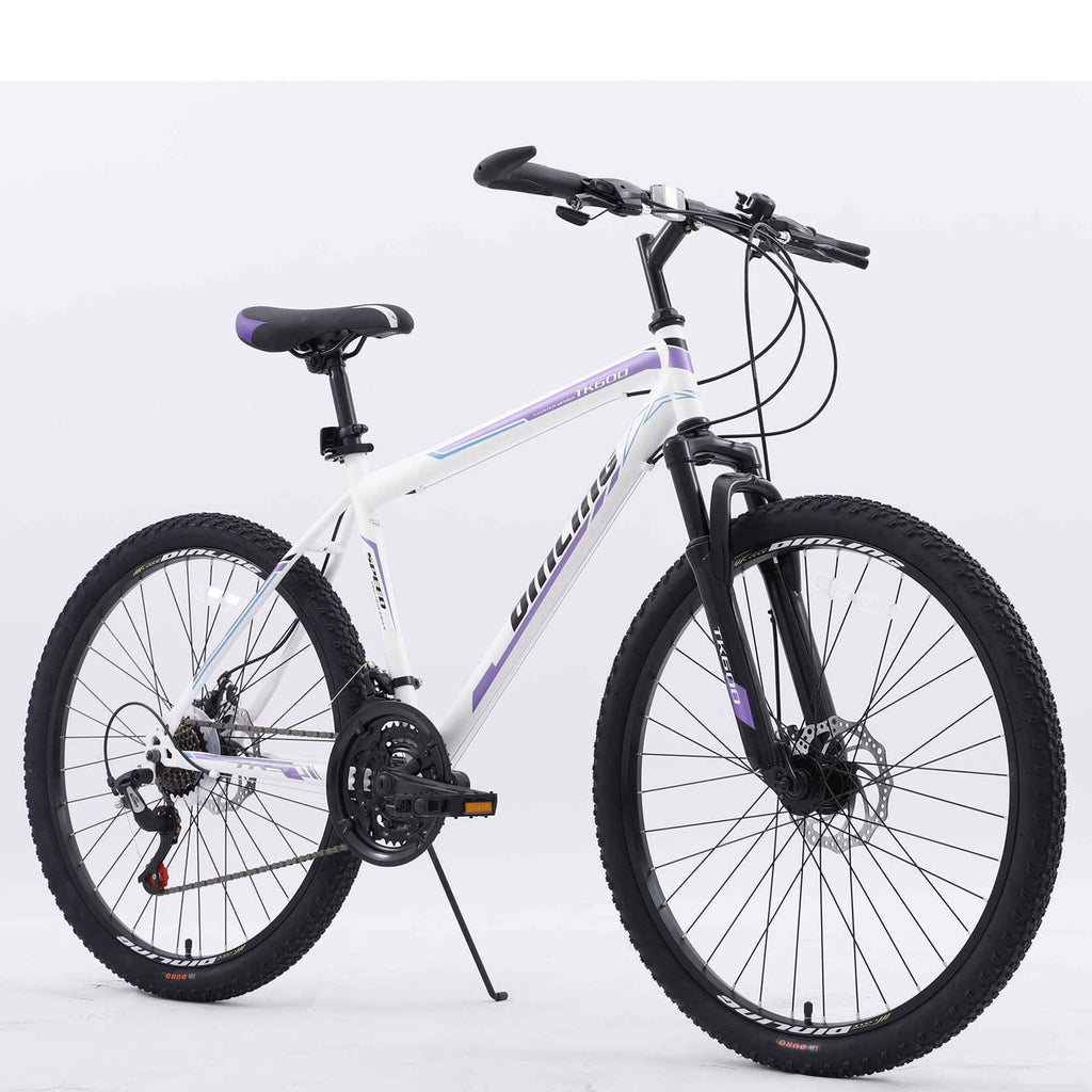 Purple 21-Speed 26 Inch Mountain Bike C358012