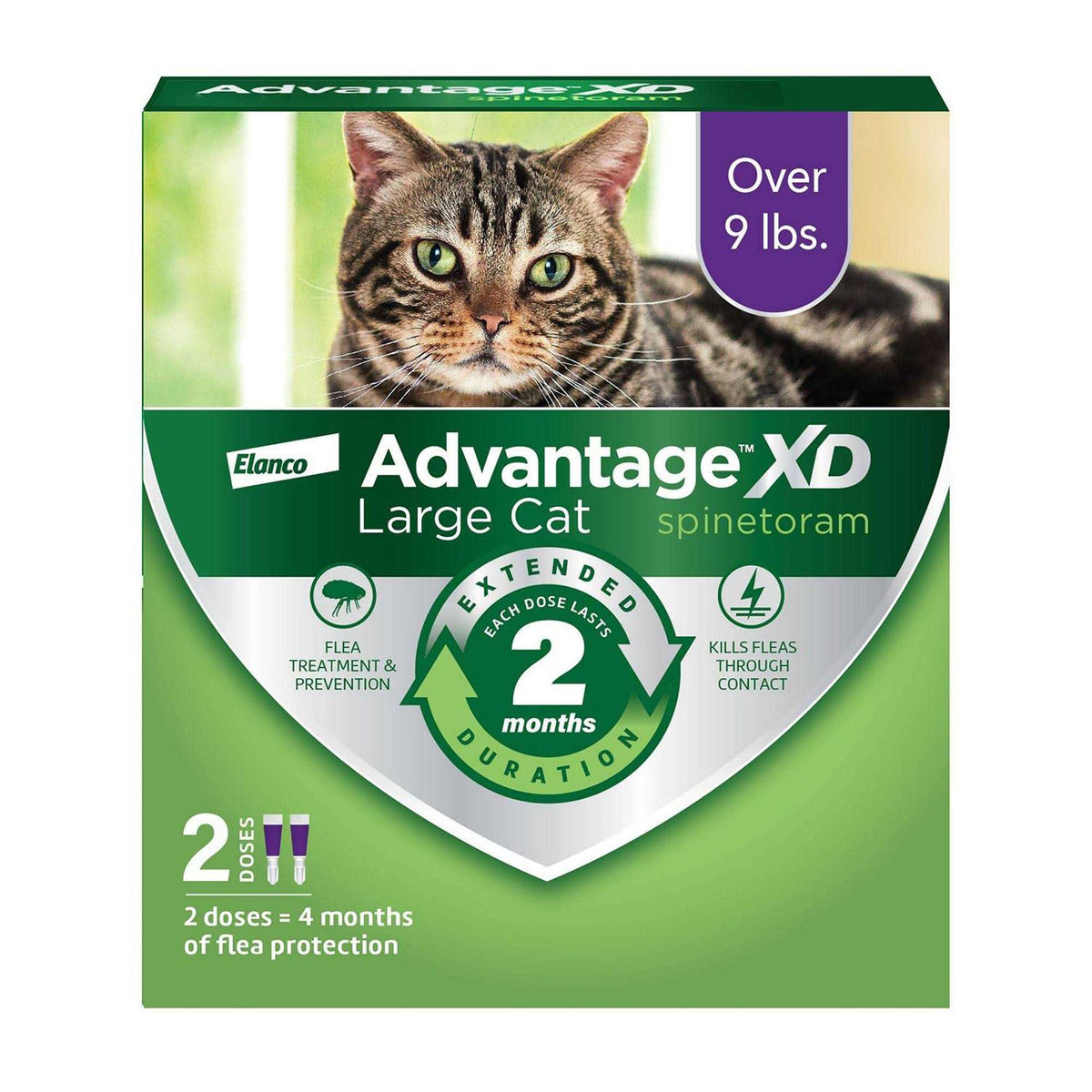 Cat Flea Prevention & Treatment K6462