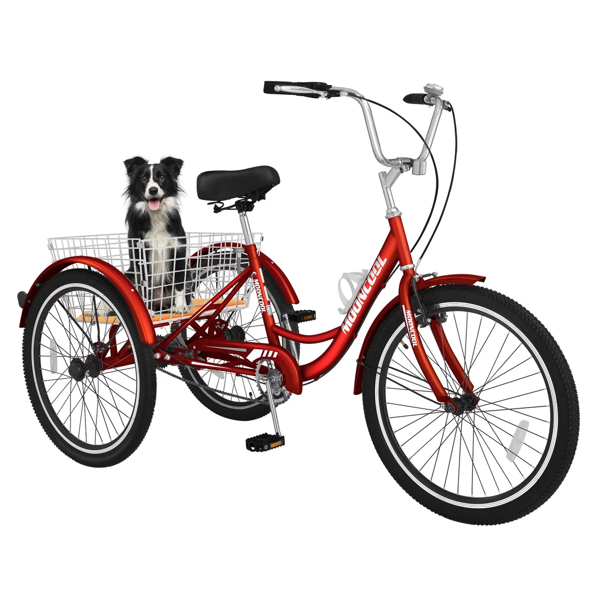 24 Single Speed Tricycle with Basket W712524