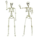 5.4ft/165cm Life Size Skeleton with Movable Joints Z391638