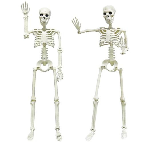 5.4ft/165cm Life Size Skeleton with Movable Joints Z391638
