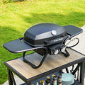 2 Burner Portable Propane Gas Grill R538