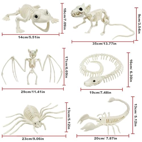 5.4ft/165cm Life Size Skeleton with Movable Joints Z391638