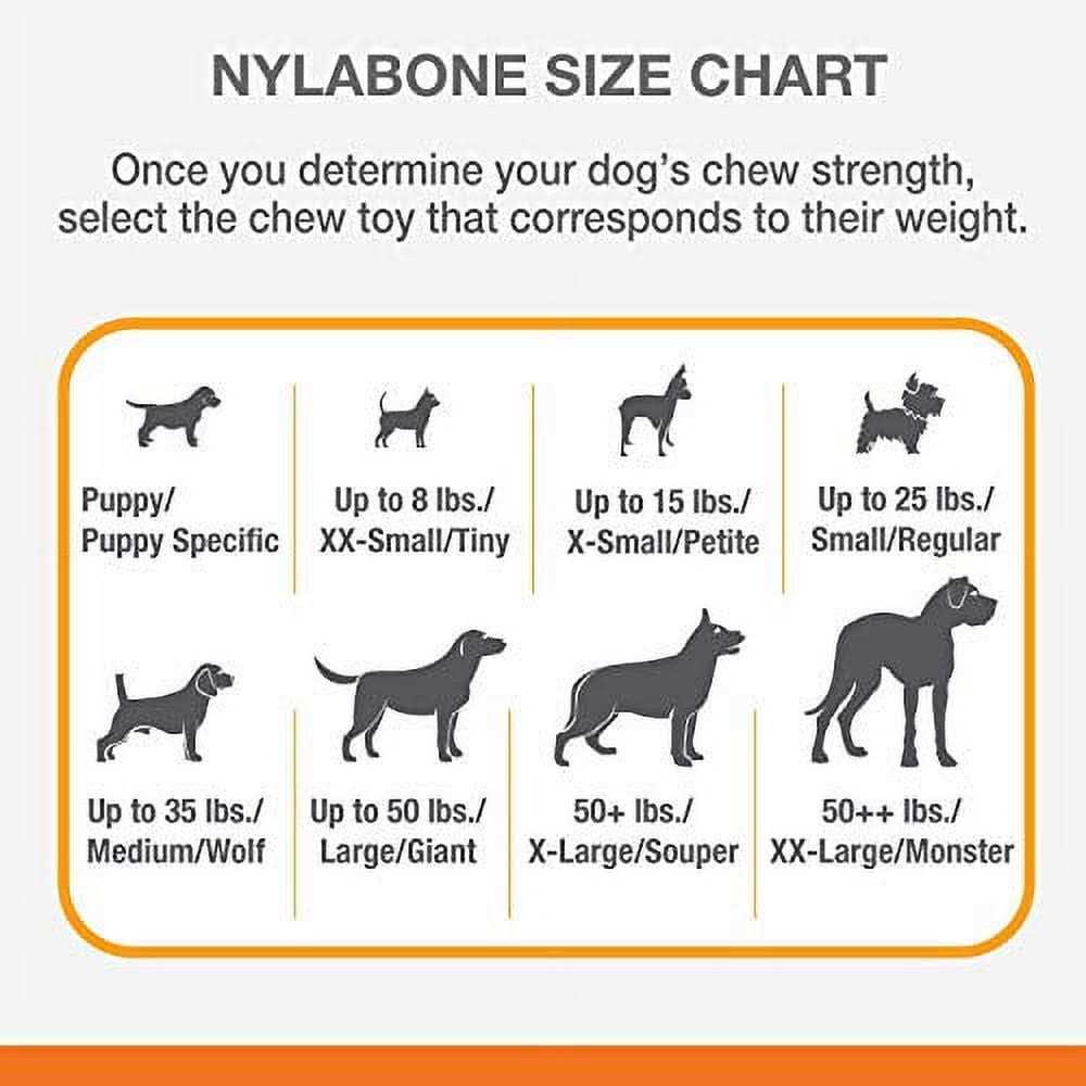 Dog Chew Toy Bundle H65178