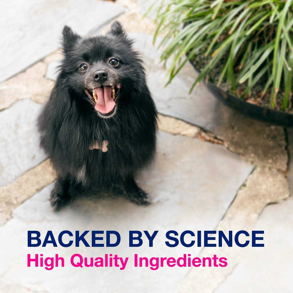 Multi-Strain Probiotics and Prebiotics for Dogs O46935