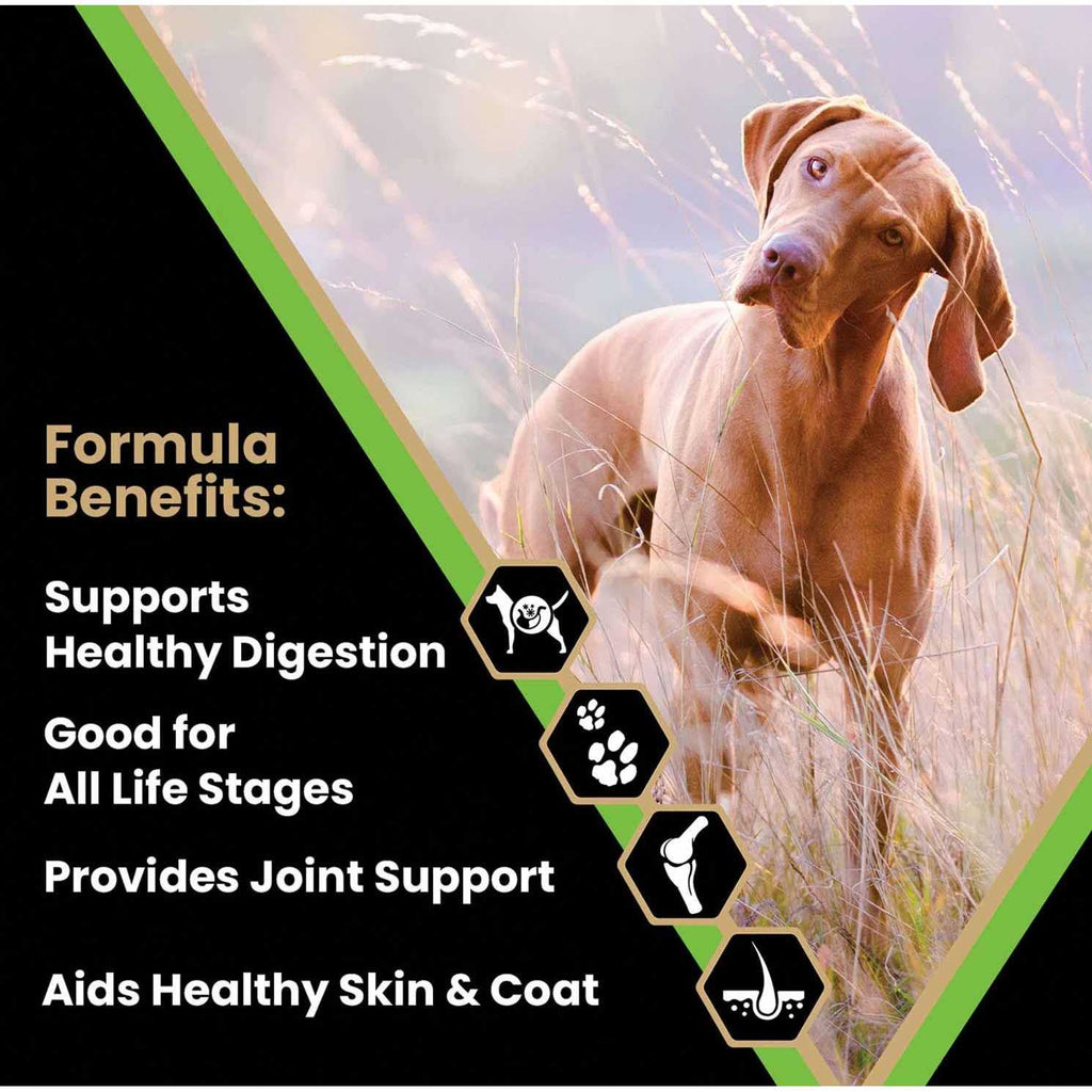 Dry Dog Food G65323