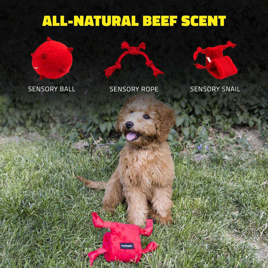 Snail Dog Toy X78455