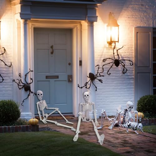 5.4ft/165cm Life Size Skeleton with Movable Joints Z391638