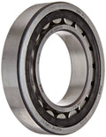 Cylindrical Roller Bearings R814925