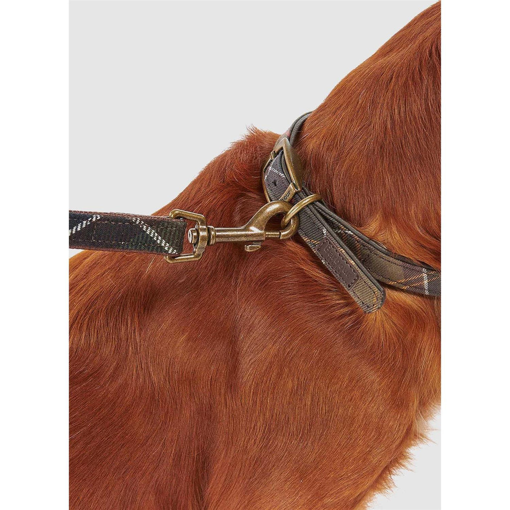 Tartan Webbing Collar L183009