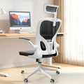 Ergonomic Office Chair with Headrest and Lumbar Support E5785
