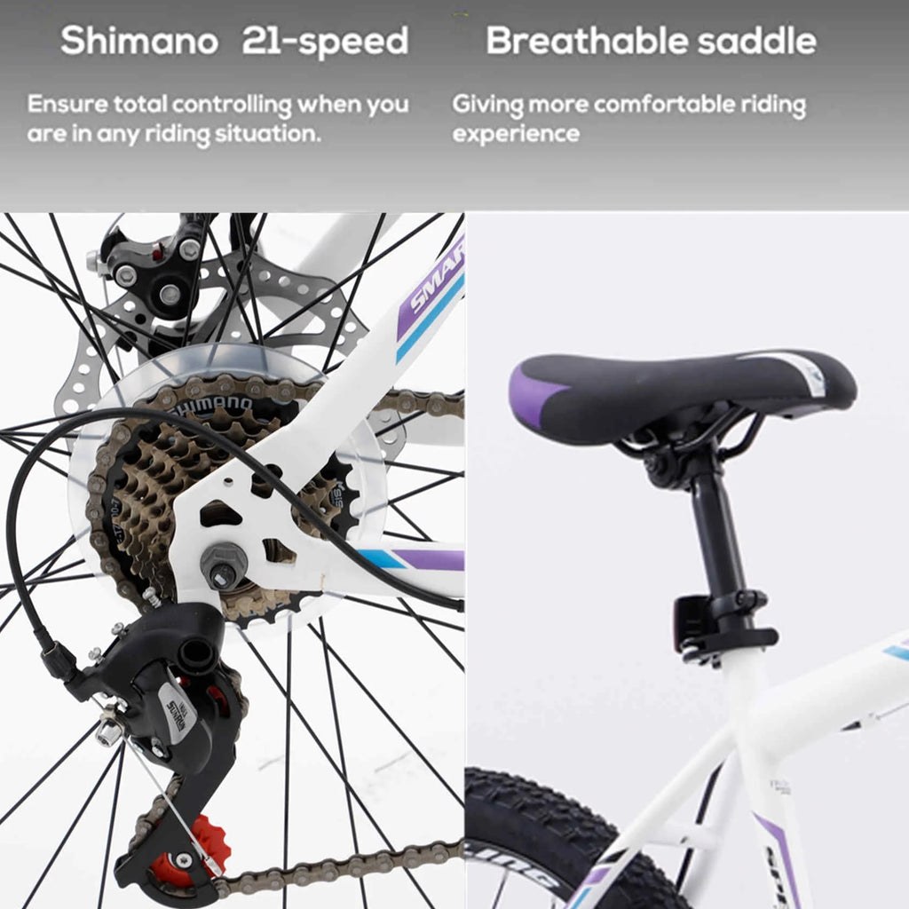 Purple 21-Speed 26 Inch Mountain Bike C358012