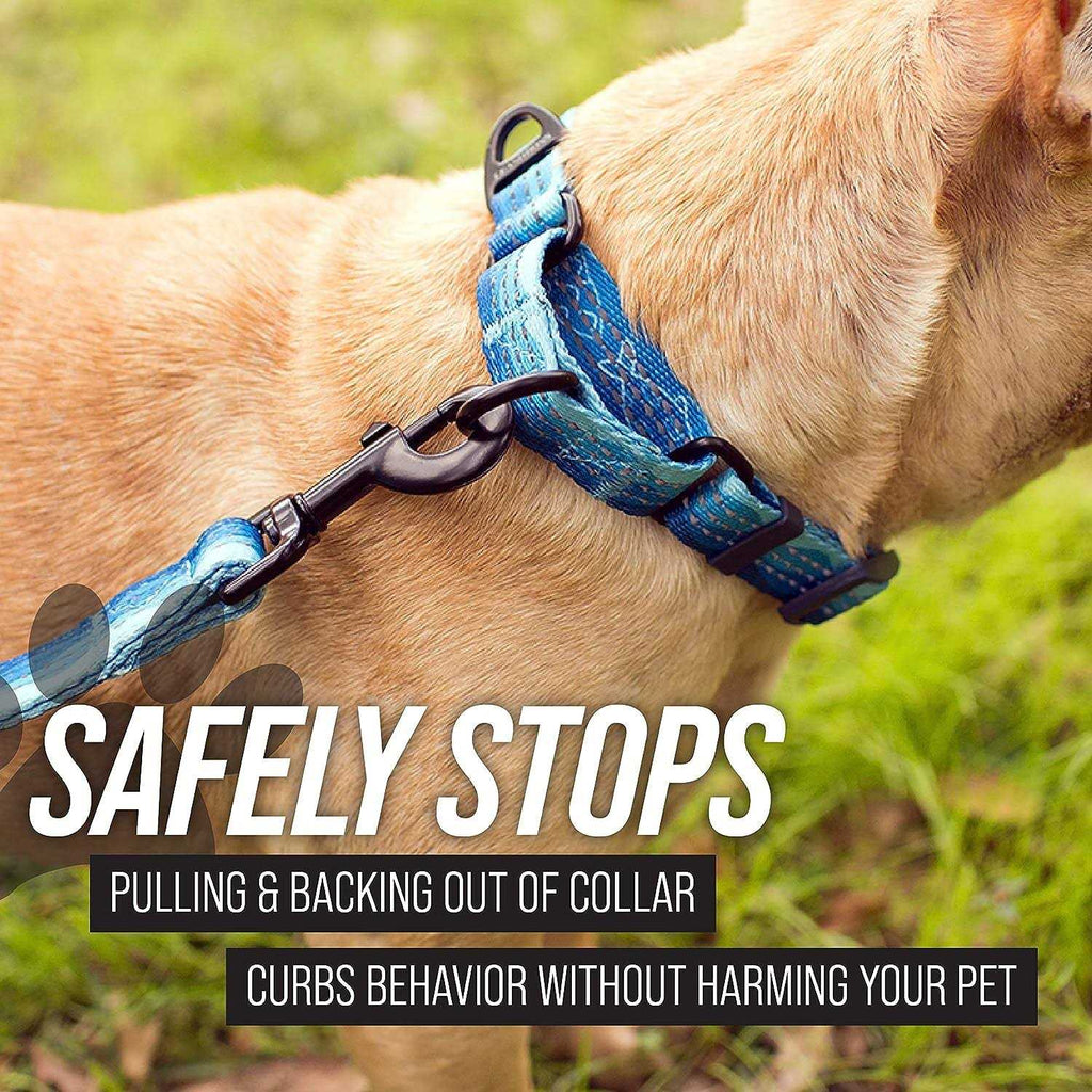 Patterned Fabric Martingale Dog Collar B8369