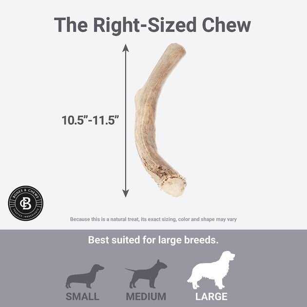 Deer Antler Dog Chew U173