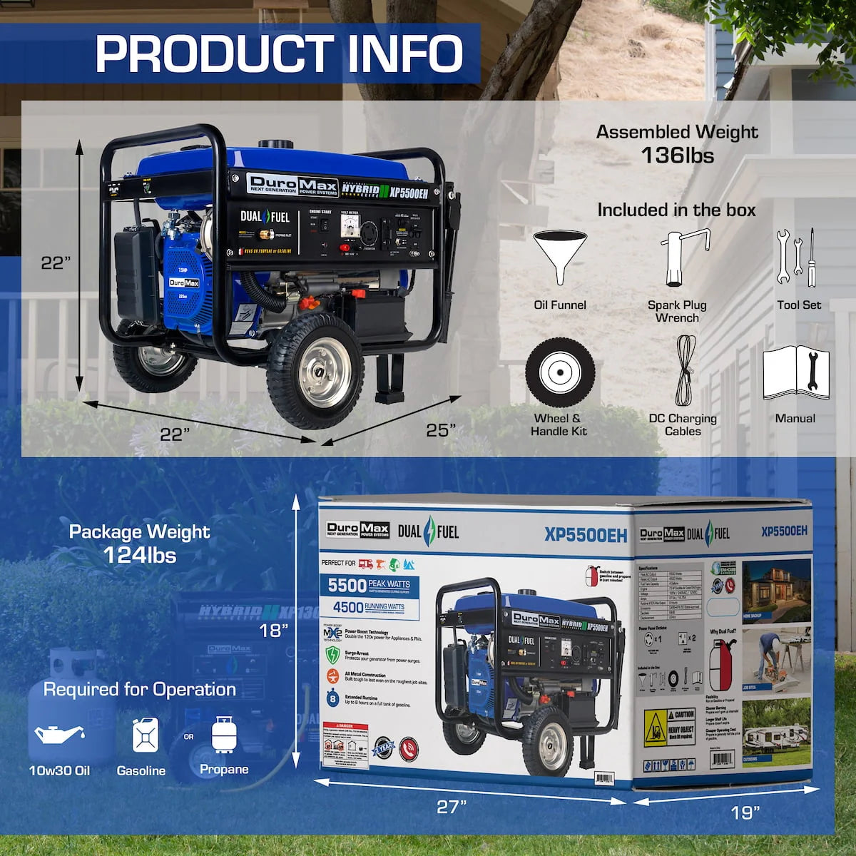 5500-Watt Dual Fuel Portable Generator Y5645
