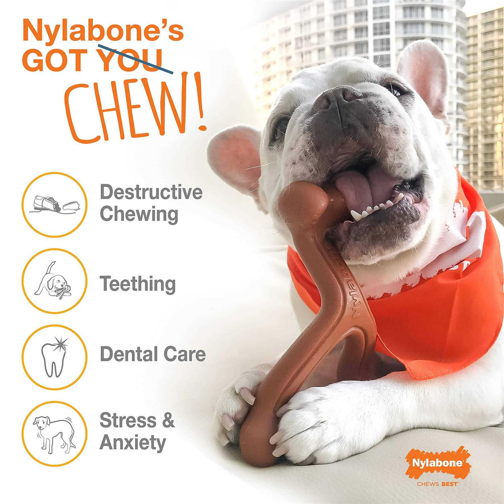 Dog Chew Toy Bundle H65178