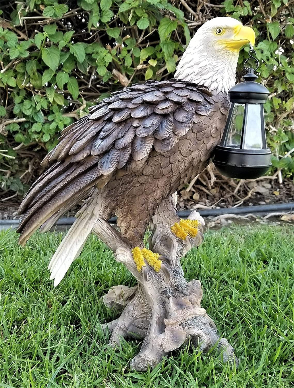 Solar American Bald Eagle Statue with Solar Light E56251