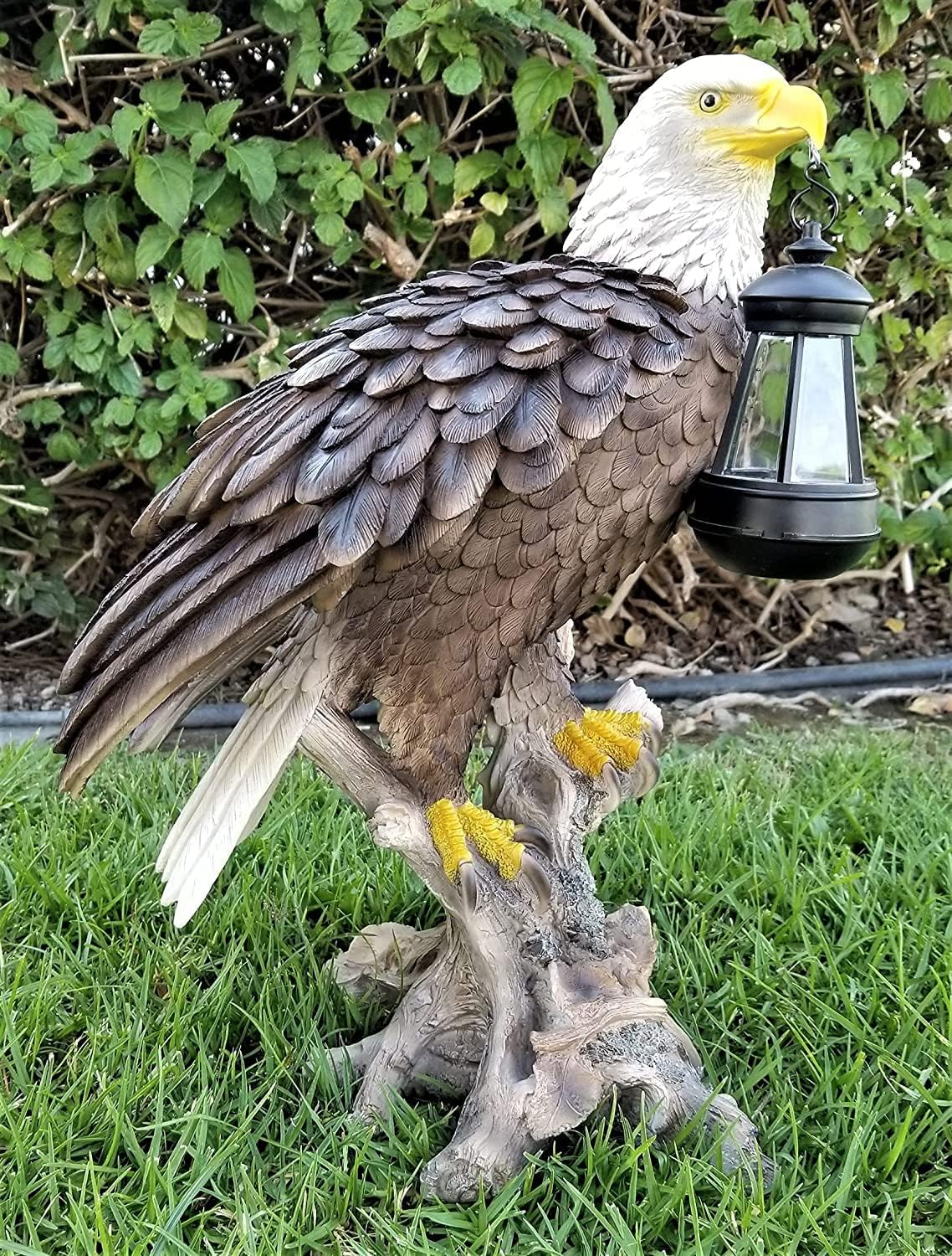 Solar American Bald Eagle Statue with Solar Light E56251
