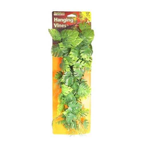 Climber Vine Q420911